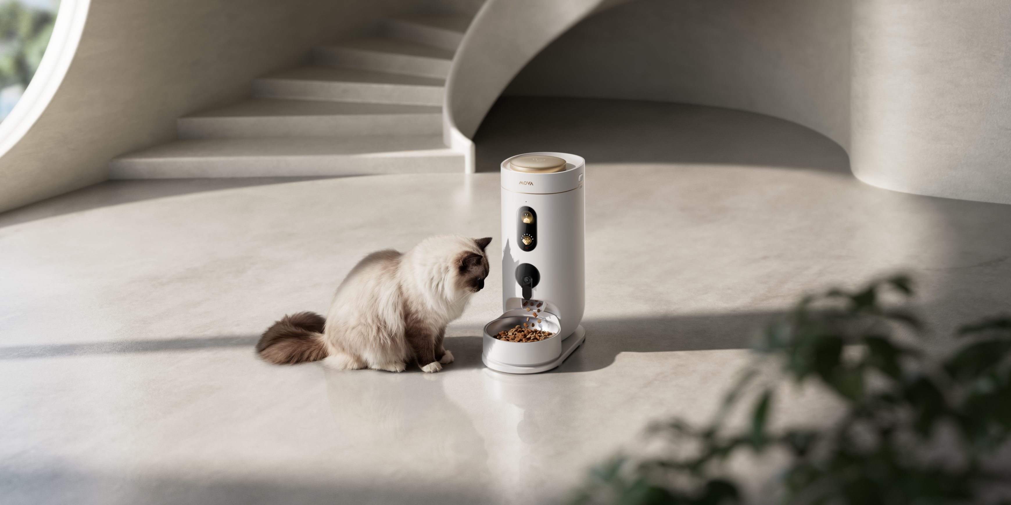 貓咪日常保養指南|智能營養補充與健康管理推薦