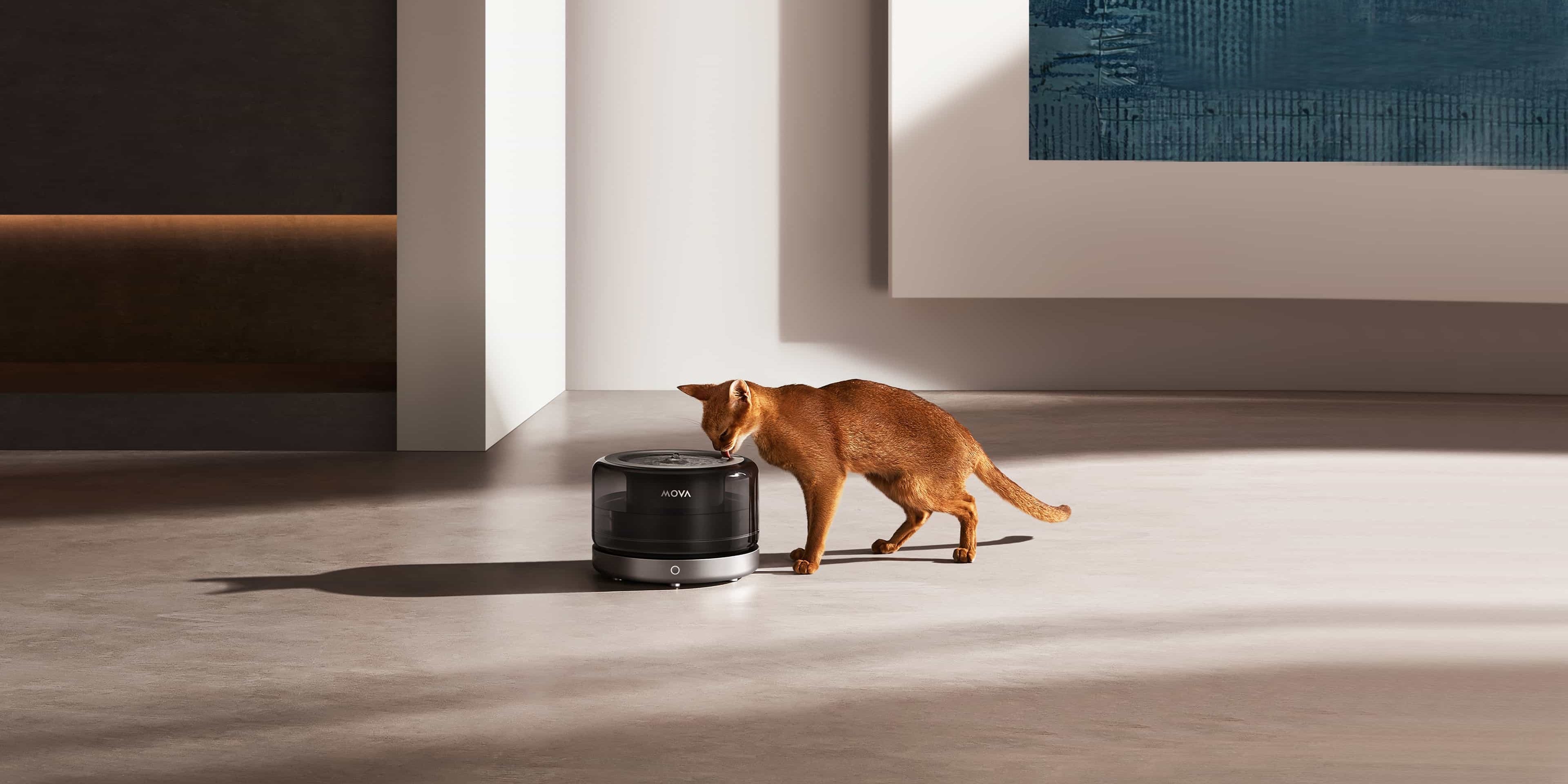 點揀寵物飲水機?材質竟然係關鍵!不鏽鋼 vs 陶瓷 vs 塑膠大比拼